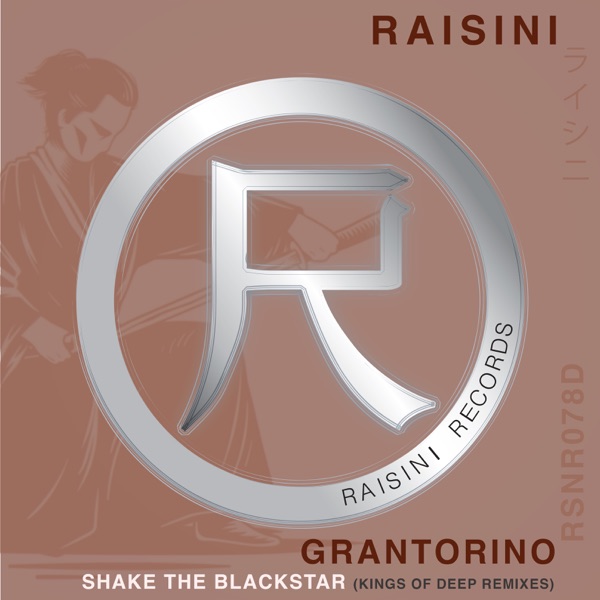 Shake the Blackstar (Kings of Deep Remixes) - Single