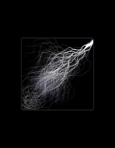 U2N4K7を聴いたり、ミュージックビデオを鑑賞したり、経歴やツアー日程などを確認したりしましょう！