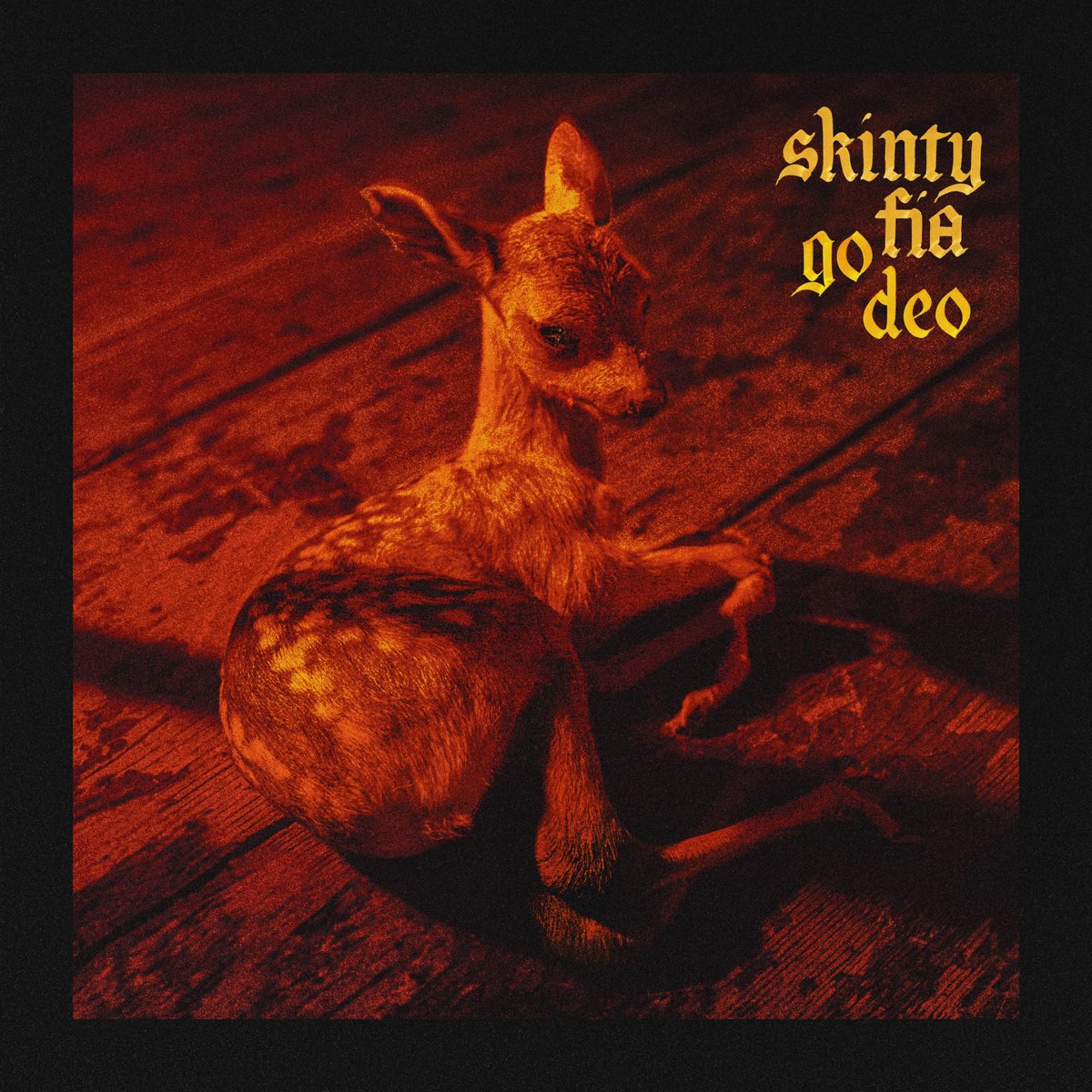 ‎Skinty Fia go deo Album by Fontaines D.C. Apple Music