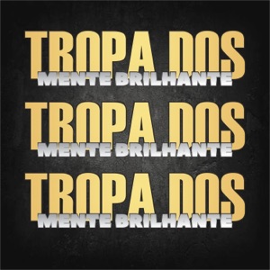 TROPA DOS MENTE BRILHANTES (Remix)