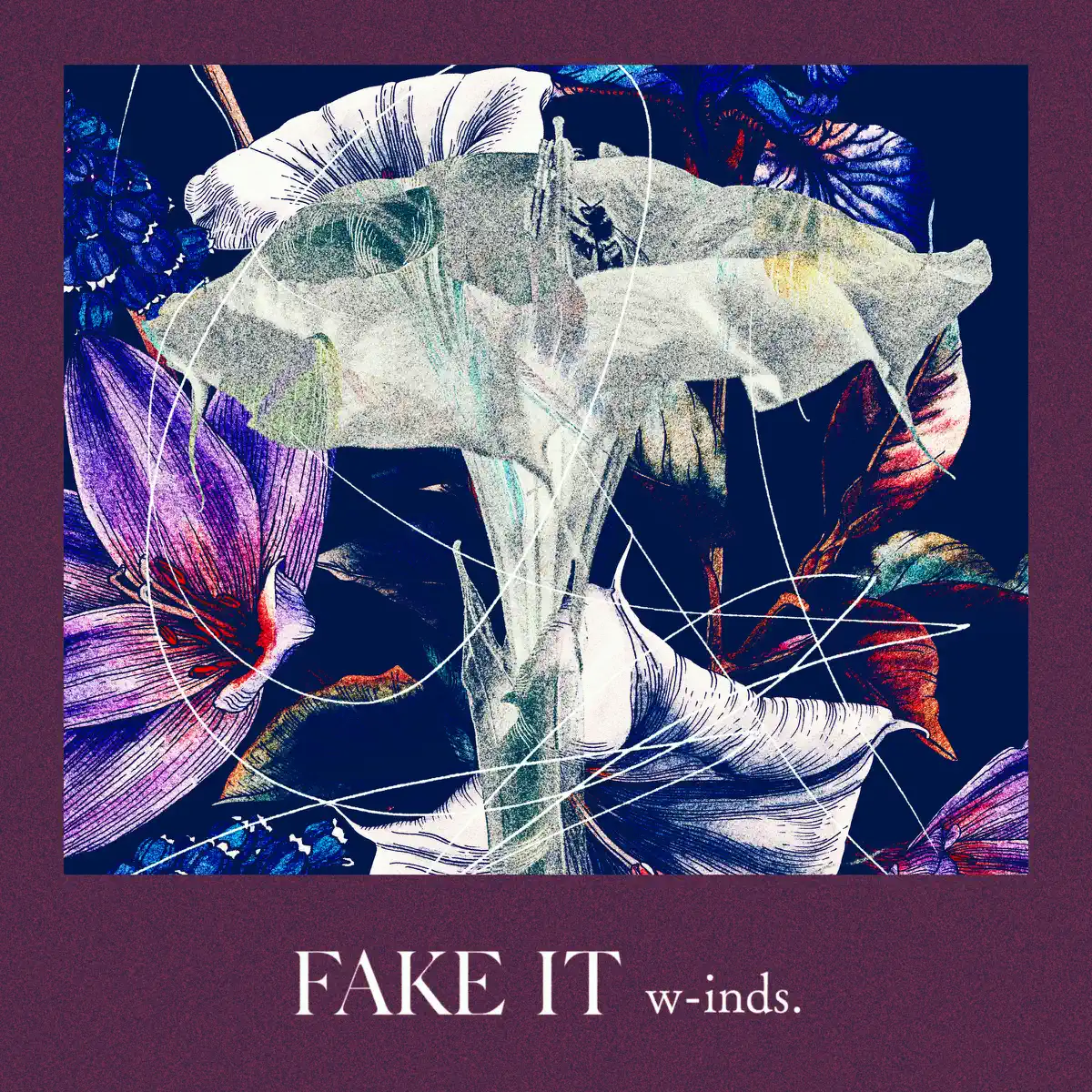 w-inds. – Fake It – Single (2024) [iTunes Plus AAC M4A]-新房子
