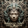 Somebody That I Used To Know - Single