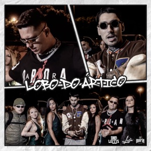 Lobo do Ártico