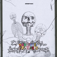 CARNIVAL BROTHERS (feat. FXCKDEATH) - Single - hertbrxk