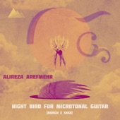 Night Bird for Microtonal Guitar (Morgh E Shab) artwork