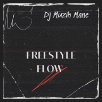 Freestyle Flow - Single - DJ Muzik Mane