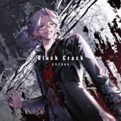 Black Crack artwork