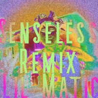 Senseless (Remix) [Remix] - Single - Lil Matic