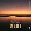 Stream & download Can U Feel It - Single