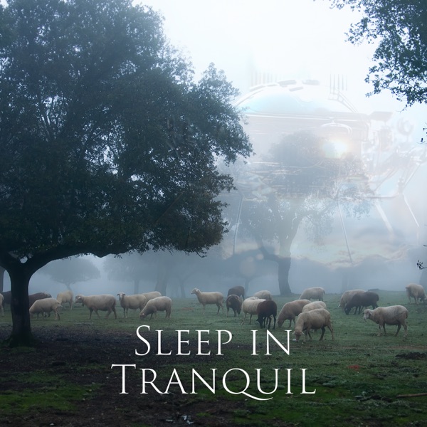 Sleep in Tranquil Serenity: Divine Beauty Subliminal