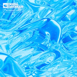 Not Enough (feat. Sergio Ochoa)