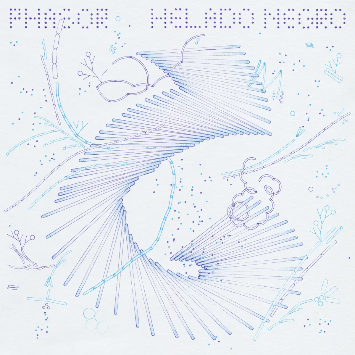 Helado Negro - PHASOR (2024) [iTunes Plus AAC M4A]-新房子