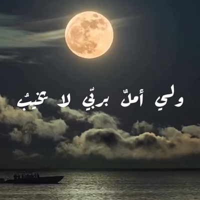 ABDULAH NAJAR - فمالي غيره ان مس ضر