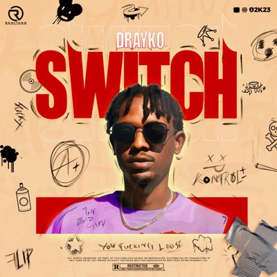 Switch - Single