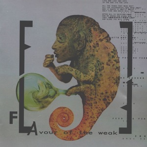 Flavour of the Weak