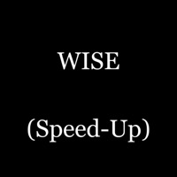 Wise (Speed-Up) - Single - Rybeena