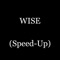 Wise (Speed-Up) - Rybeena lyrics