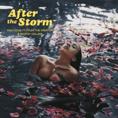 After The Storm (feat. Tyler, The Creator & Bootsy Collins) - Single