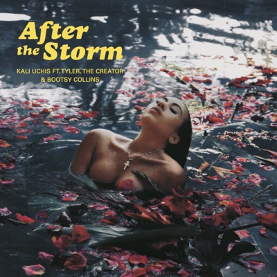 After The Storm (feat. Tyler, The Creator & Bootsy Collins) cover art