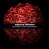 Industrial Influences - Single