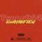 Gentrified - tshon954 lyrics