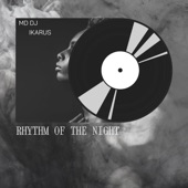 Rhythm of the Night (Extended) artwork