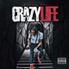 Crazy Life - Single