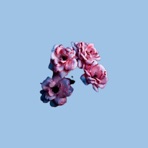 On My Own - Single
