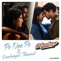 Po Nee Po X Kaalangal Thaandi - Single - Binu Shiva