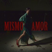 Mismo Amor artwork