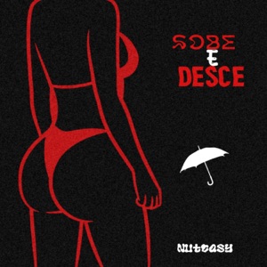 Sobe e Desce