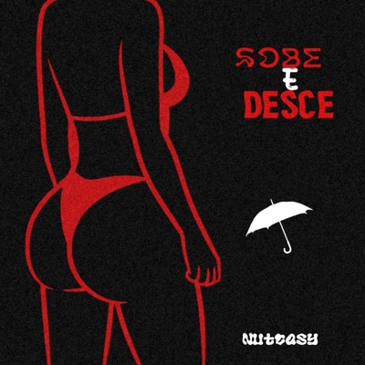 Sobe e Desce - Single