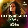 FIELDS OF GOLD