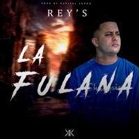 La Fulana (feat. Rey) - Single - DJ K11