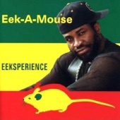 Eeksperience artwork