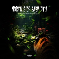 Northside Baby Pt. 1 (feat. GAIGER, SRV BOII, AVAK & Recco) - Single - BT DOPEBOY
