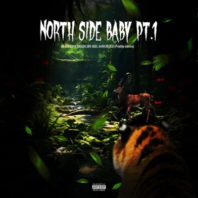 Northside Baby Pt. 1 (feat. GAIGER, SRV BOII, AVAK & Recco) - Single