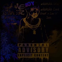 Whatcha Like, Whatcha Luv (feat. Loui V Sosa) - Single - Crook