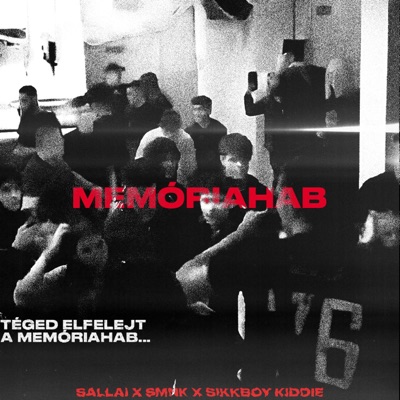 MEMÓRIAHAB (feat. Sallai & SMNK) - Single