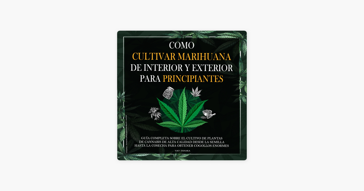 ‎como Cultivar Marihuana De Interior Y Exterior Para Principiantes Guía Completa Sobre El 9672