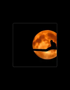 Posłuchaj wykonawcy Robbero, obejrzyj teledyski, przeczytaj biografię, zobacz daty tras koncertowych i nie tylko!