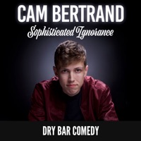 Album cover for Jay-Z by Cam Bertrand