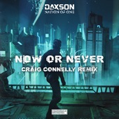 Now or Never (Craig Connelly Remix) artwork
