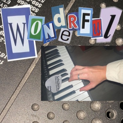Wonderful - Single