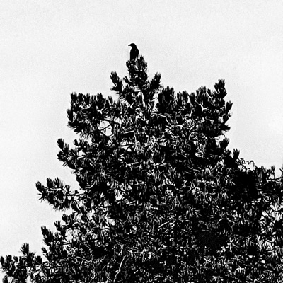 Slump Eternal - Single