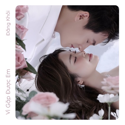 Vì Gặp Được Em (feat. F) - Single