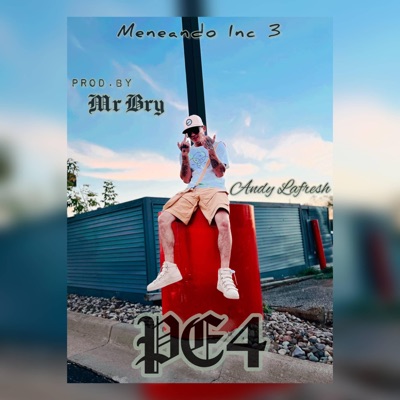 PE4 (feat. Mr Bry) - Single