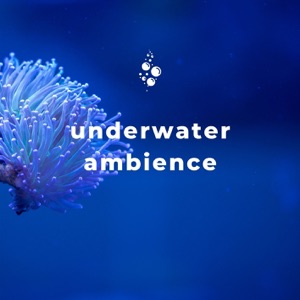 Underwater Ambience: Deep Sea Relaxation