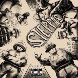 Steppas Canvas