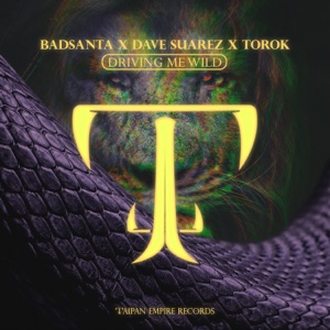 Driving Me Wild - Single